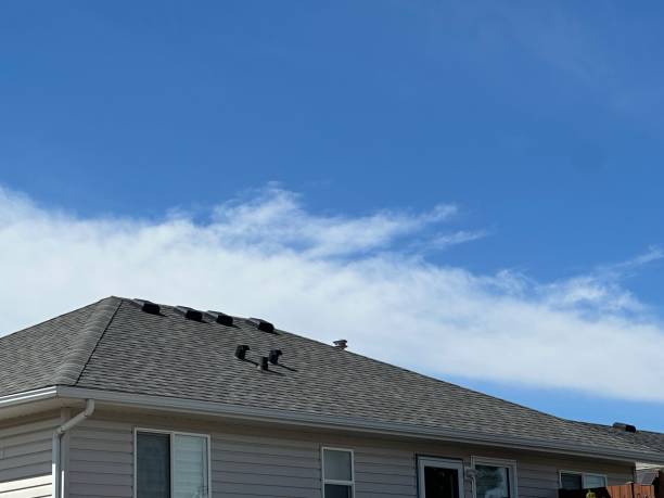 Best Gutter Installation and Repair  in Ashburn, VA